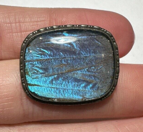 Broche argent sterling - en,