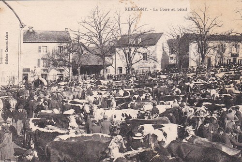 Xertigny foire bétail - 88,