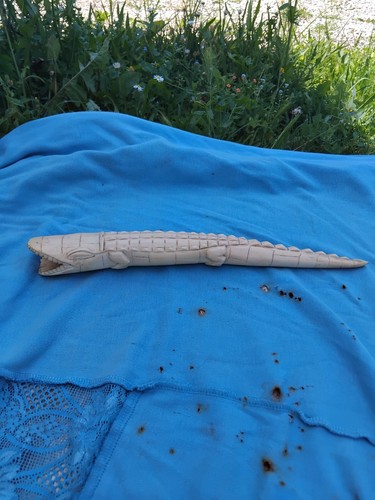 Ancien joli crocodile - ancien,