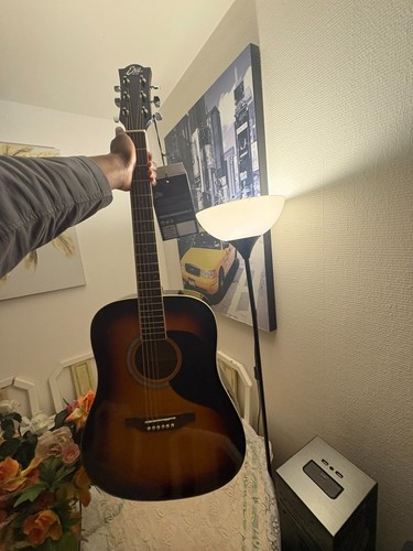 Guitare dreadnought ranger - dreadnought, 6