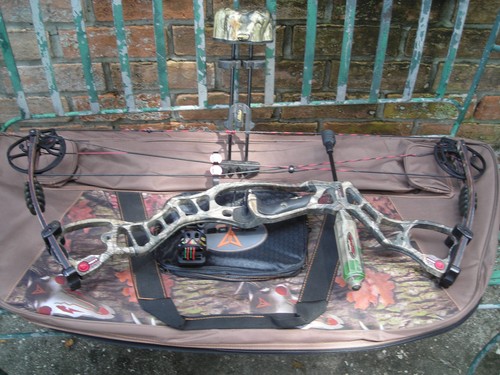 Hoyt vector compund bow - compund,