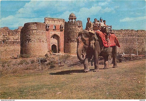 Carte postale animaux - carte,
