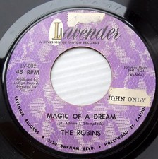 Robins Nearmint 45 Magic Of A Dream ~ Mary Lou Aime Pour Hootchy Koo FM441