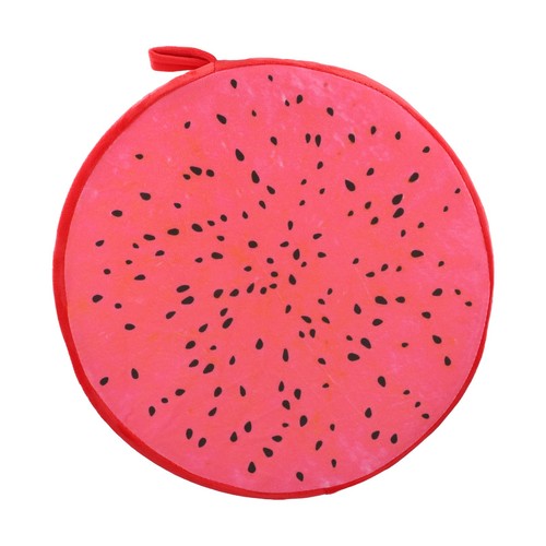 Siège coussin jardin chaise - coussin,