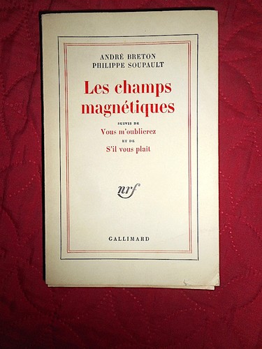 Les champs magnétiques - , par