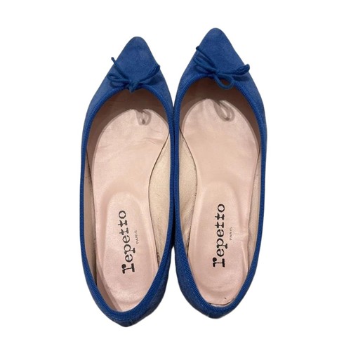 Repetto pointed toe flats - pointed,