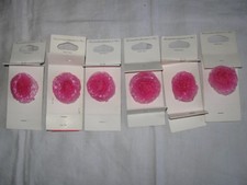 6 FLEURS A PIN'S DÉCORATION