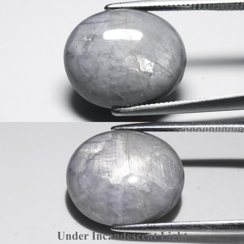 Ct cabochon ovale - 15,09,
