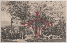 BEAULIEU-sur-MER. "CAFE de la RESERVE" - (Musiciens, orchestre à Cordes).