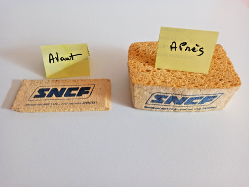 Une éponge spontex sncf - ,