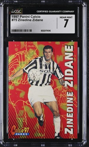 1996 panini calcio - 1996,