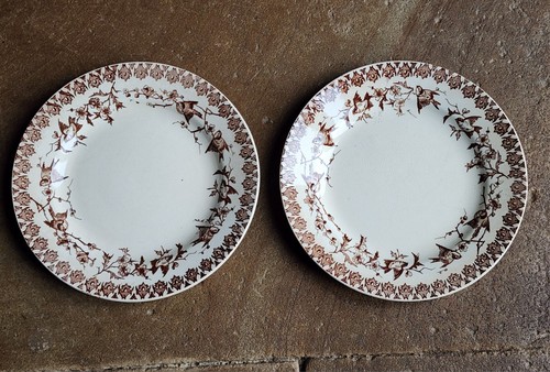 Paire choisy roi - paire, boulenger