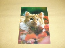 CARTE POSTALE Humour Animaux