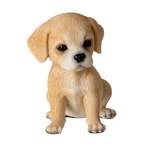 Labrador puppy - labrador,