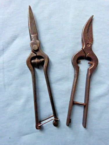 Deux anciens sécateurs fer