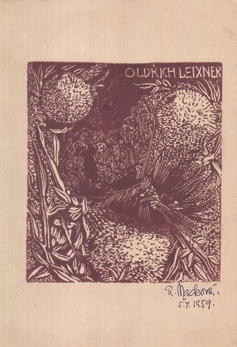 Exlibris livre art - exlibris,