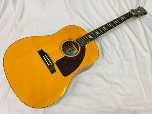 Guitare acoustique électrique