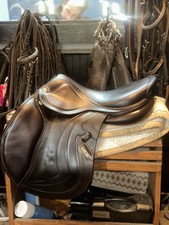 17" CWD Mademoiselle (2017)