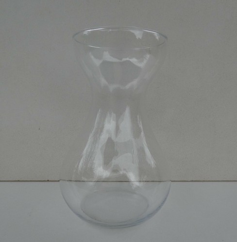 Vase bulbe jacinthe - à,