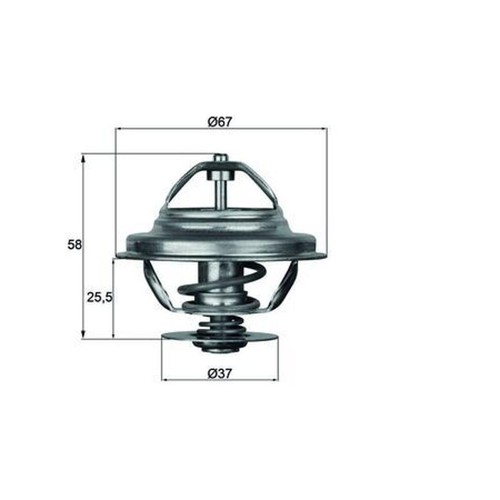 Mahle 80d thermostat - tx, 21