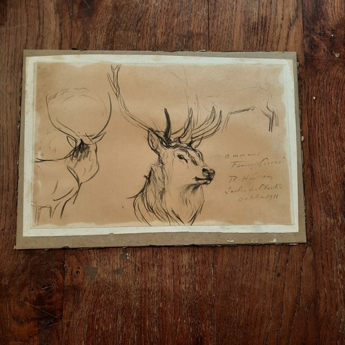 Dessin ancien animalier fond - ancien,