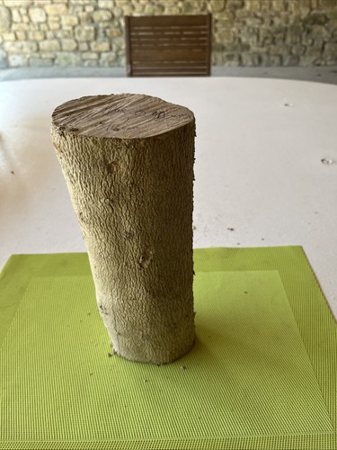 Bois buis boxwood - buis,