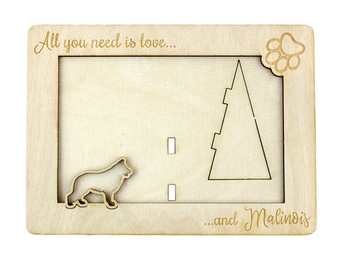 Malinois chien berger belge - chien,