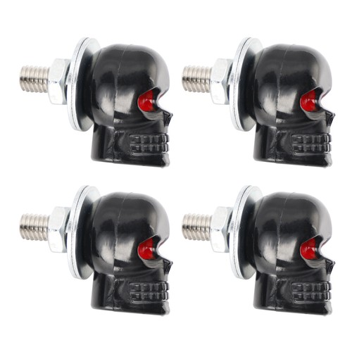 Vis plaque immatriculation - 4x,