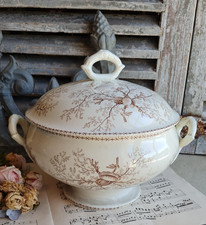 ANCIENNE SOUPIERE TERRE DE FER DECOR DE COQUILLAGES ET ALGUES  COULEUR SEPIA