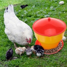  Mangeoire Poules Nourrisseur