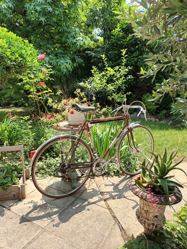 Vélo ancien mercier - ancien,
