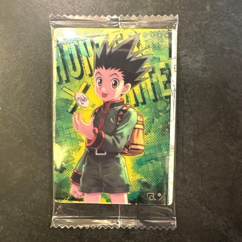 Hunter ita jaga - hunter, gon
