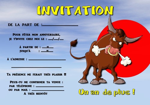 Cartes invitation - 12,