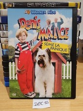 DVD - DENIS LA MALICE sème la panique - Warner Kids
