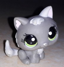 Petshop chat chaton 1035