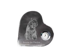 Bouvier des Flandres - Montre