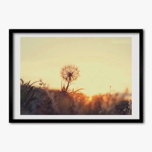 Tulup photo cadre 70x50cm - tulup,