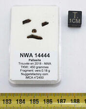 Météorites NWA 14444 Pallasite dans une boite ( NWA - 0.18 grammes - 003** )