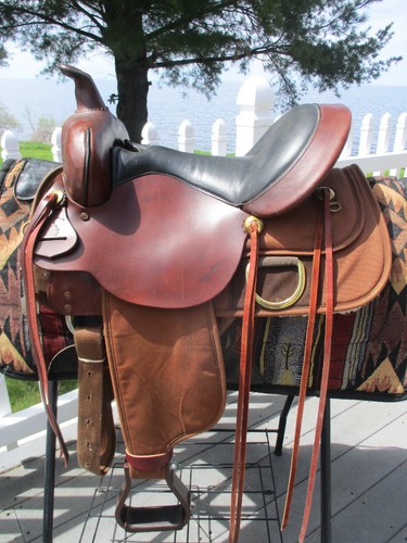 High horse circle - horse,