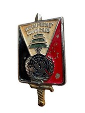 Insigne Militaire Régiment
