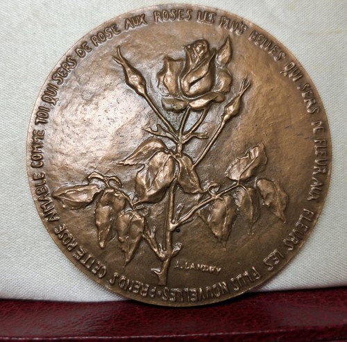 Rare medaille rose - medaille, la