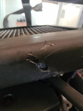 Moteur KIA CARNIVAL 1