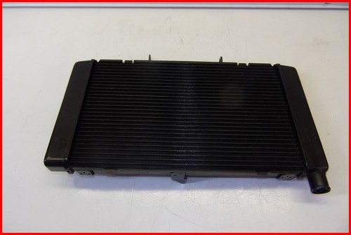 Honda hornet 600 2011 - hornet, 2011-2014