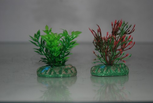 Aquarium petit nano - nano, x
