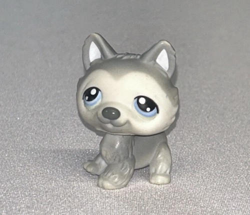 Hasbro lps original - ,