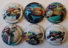 6 BELLES CAPSULES CHAMPAGNE ALAIN MARLE LES TORTUES 2024 NEWS