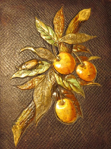 Album photo ancien cuir - photo,