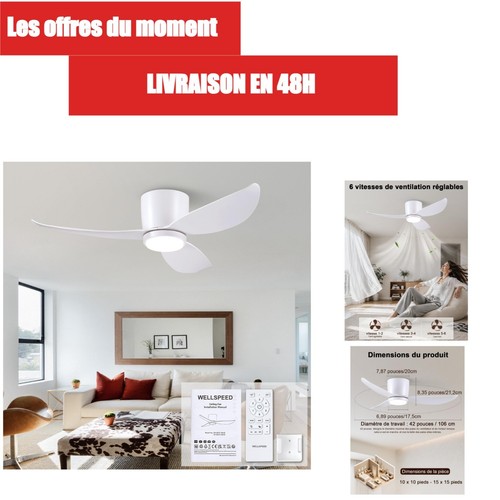 Ventilateur plafond - ventilateur, de