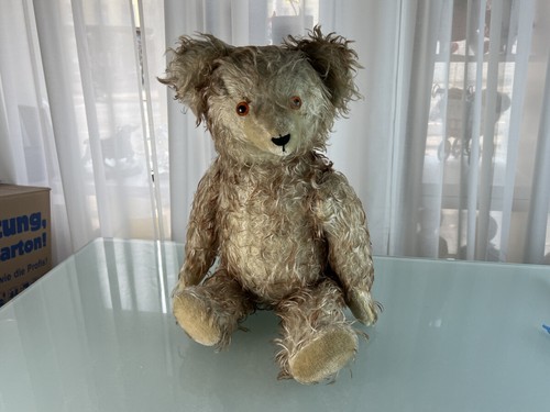 Ancien ours peluche - ours, en