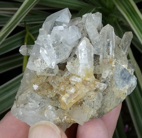 Quartz transparent oisans - transparent,